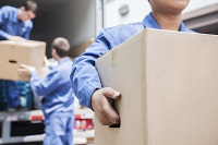 Affordable Removalist Moving Quotes